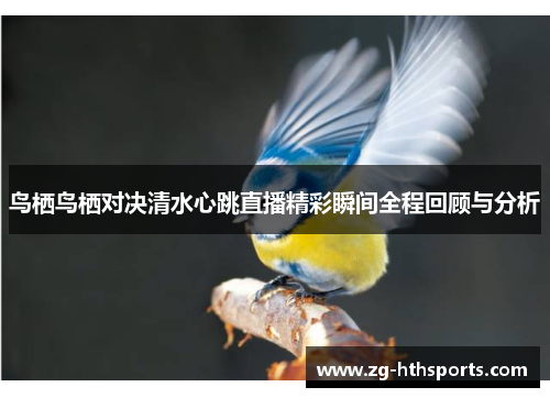 鸟栖鸟栖对决清水心跳直播精彩瞬间全程回顾与分析